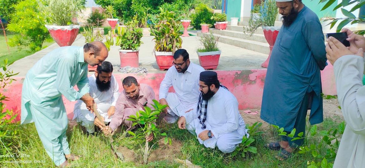 Plantation at Govt Lab Higher Secondary School Khan Pur