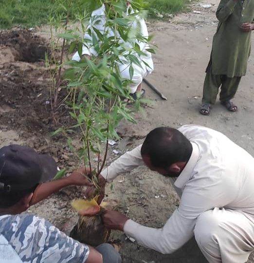 Plant a Million Tree Campaign Khanpur