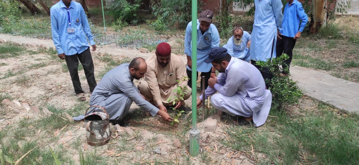 Plantation at Govt Secondary School Jaja Abbasian